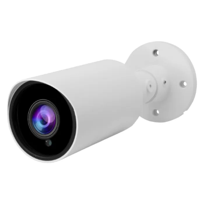 Surveillance Cameras