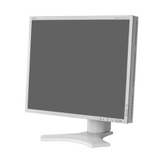 NEC LCD1990SX | MultiSync 19-Inch DVI-D VGA D-Sub LCD Monitor