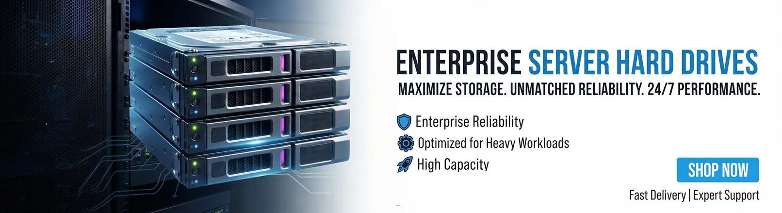 Server Hard Drives