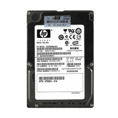 HP 492619-002 | 300GB 10000RPM SAS 3Gb/s Hot-Swappable Dual Port 2.5-inch Hard Drive for Gen1 to Gen7 ProLiant Servers
