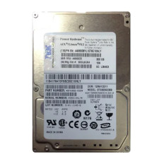 IBM 44V6838 | 300GB 10000RPM SAS 6Gb/s Hot-Swappable 16MB Cache 2.5-Inch Hard Drive