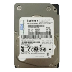 IBM 42D0673 | 73GB 15000RPM SAS 6Gb/s Hot Swappable 16MB Cache 2.5-Inch Hard Drive for System x32XX M3