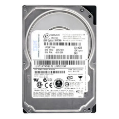 IBM 39R7391 | 73GB 10000RPM SAS 3Gb/s Hot Swappable 2.5-Inch Hard Drive 