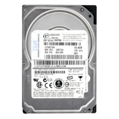 IBM 40K1088 | 73GB 10000RPM SAS 3Gb/s Hot Swappable 2.5-Inch Hard Drive 