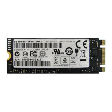 SanDisk SD6SP1M-256G-1012 | X110 Series 256GB Multi-Level Cell SATA 6.0Gb/s M.2 2260 Solid State Drive