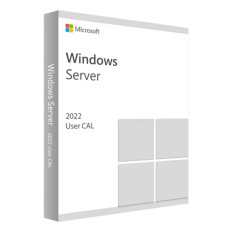 Microsoft R18-06448 | Windows Server 2022 1 User CAL License